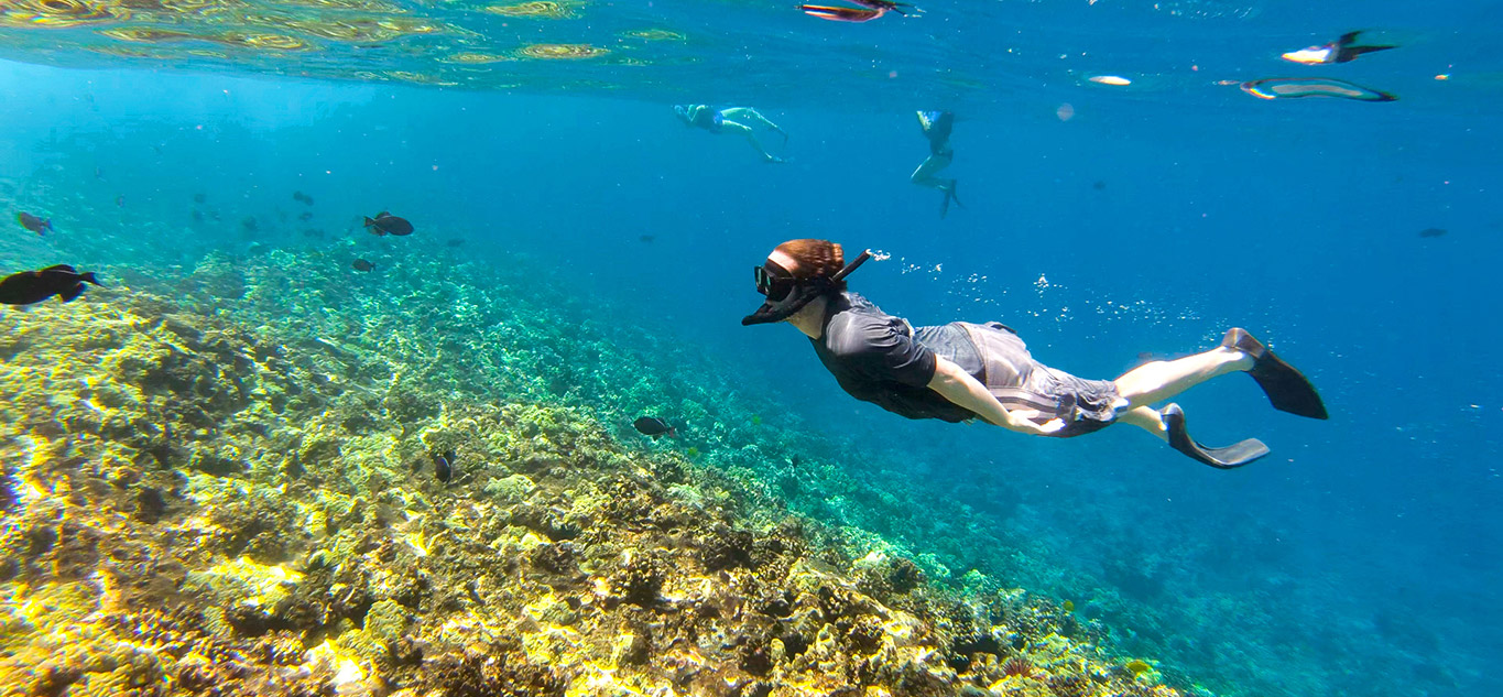 Best Hawaii Adventure Snorkeling Spots