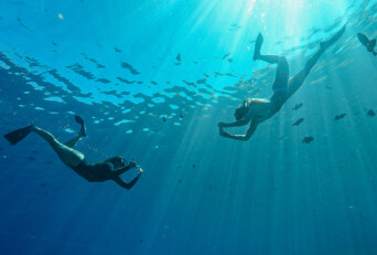 Snorkelers Taking Photos of Each Other Underwater