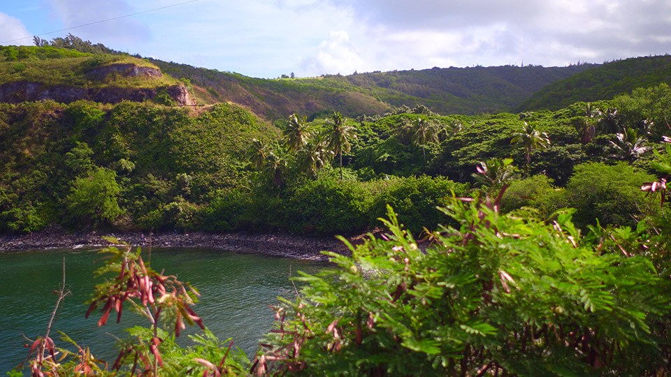 Honolua Bay Snorkeling Spot