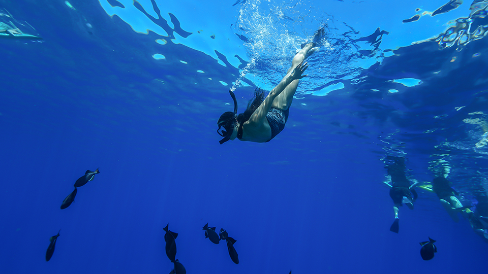 Snorkeler Diving Underwater with Fish