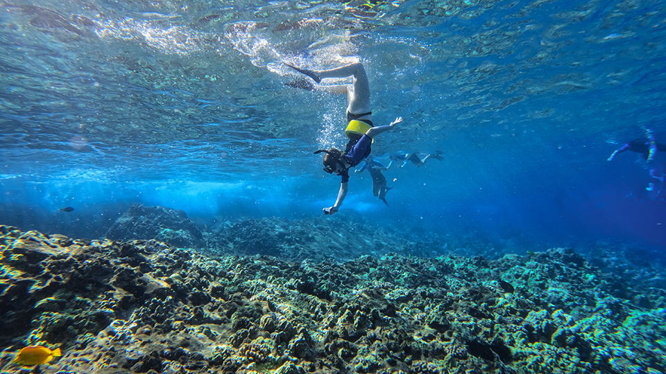 Snorkeler Underwater Taking Photos of Coral
