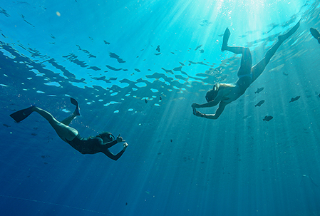 Snorkelers Taking Photos of Each Other Underwater