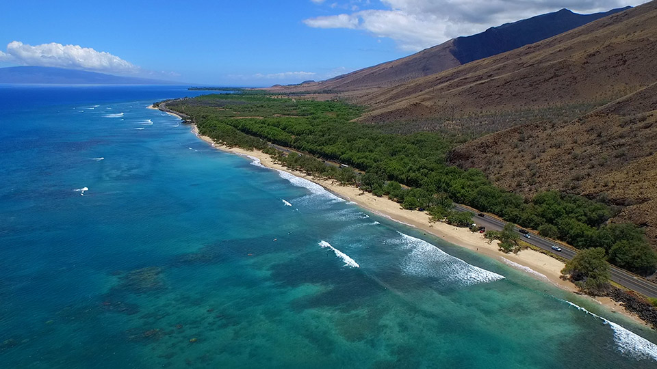 Coral Gardens shoreline