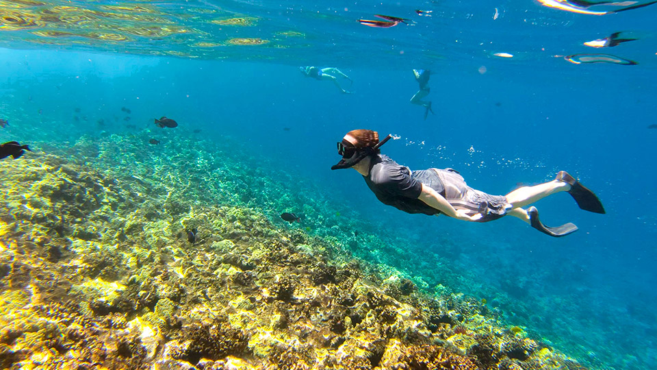 Snorkeler at Molokini Crater Reef