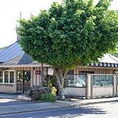 A Saigon Cafe Best Maui Local Food