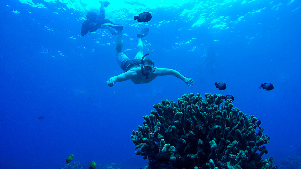 History of Molokini Maui Snorkel Trip