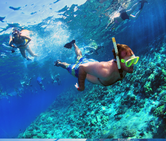 A diver with a snorkel