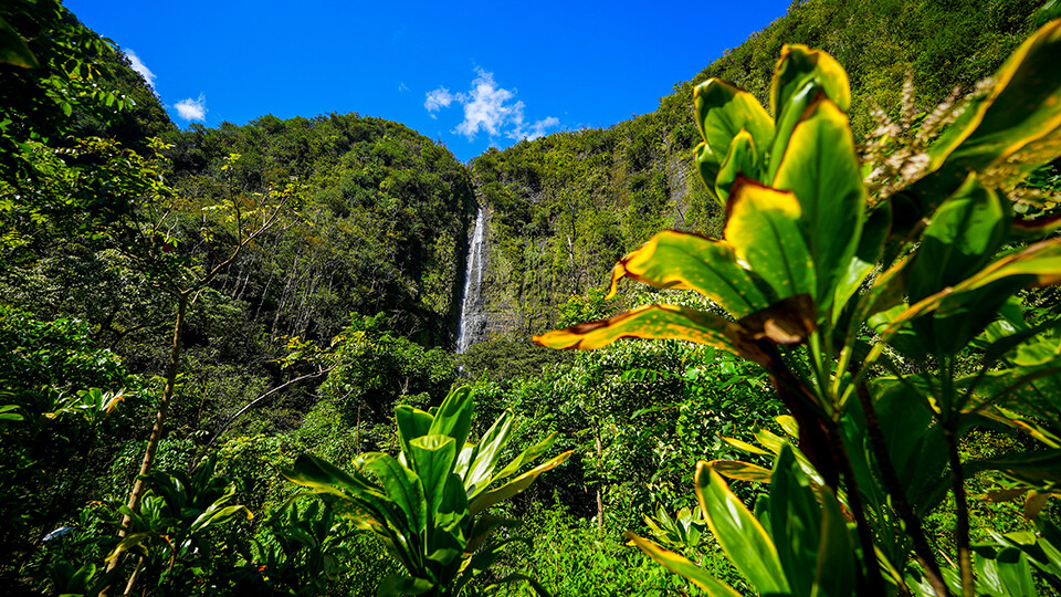 Complete Guide to Haleakala Kipahulu District Waimoku Falls