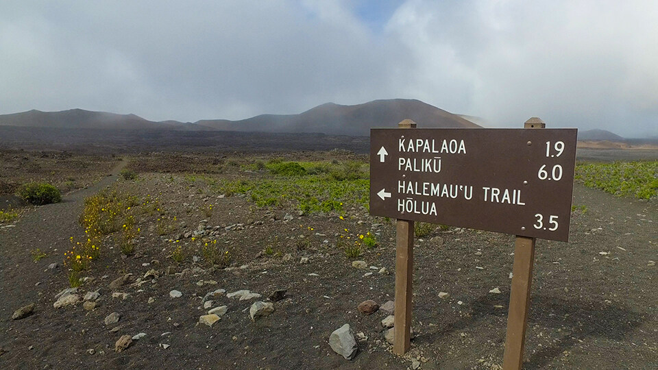 Complete Guide to Haleakala Hiking Trails Halemaau Trail