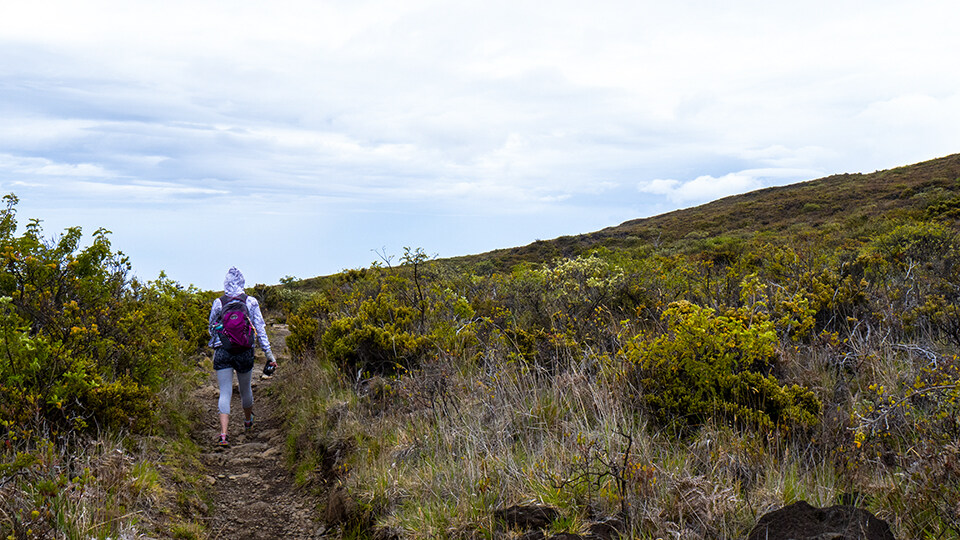 Hikers Visiting Haleakala