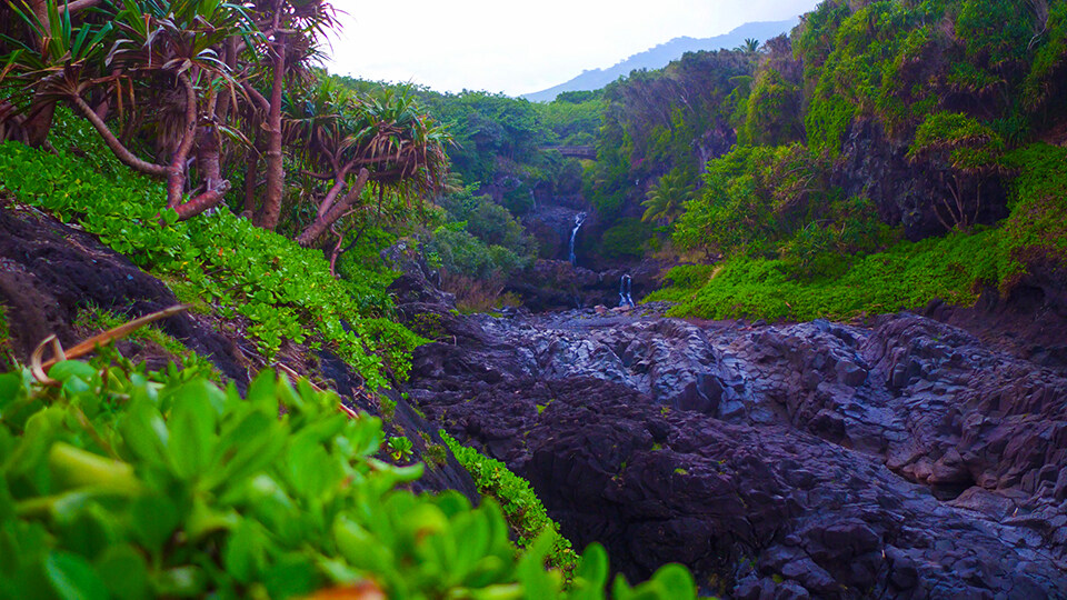 Complete Guide to Haleakala Seven Sacred Pools of Oheo