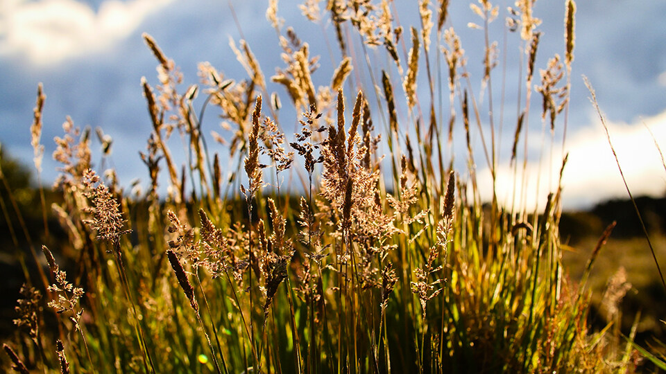 Complete Guide to Haleakala What to Know Before You Go