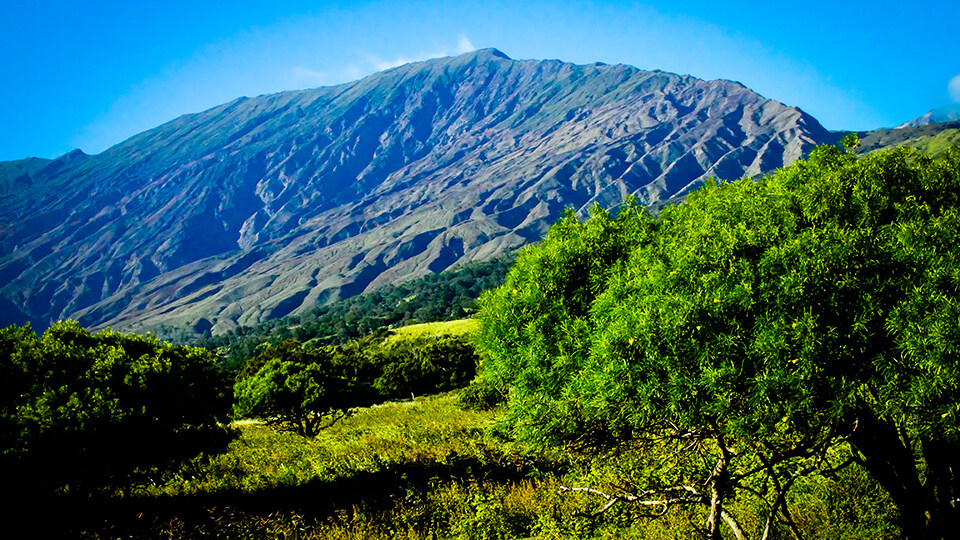 Complete Guide to Haleakala National Park