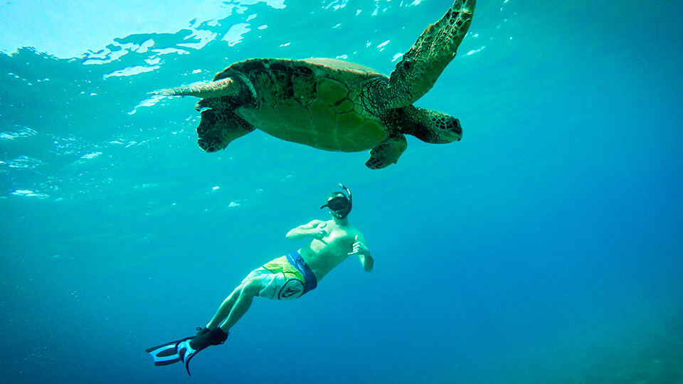 Snorkeling At Turtle Town Maui