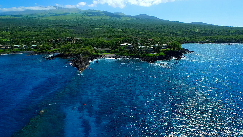 Maui's Turtle Town