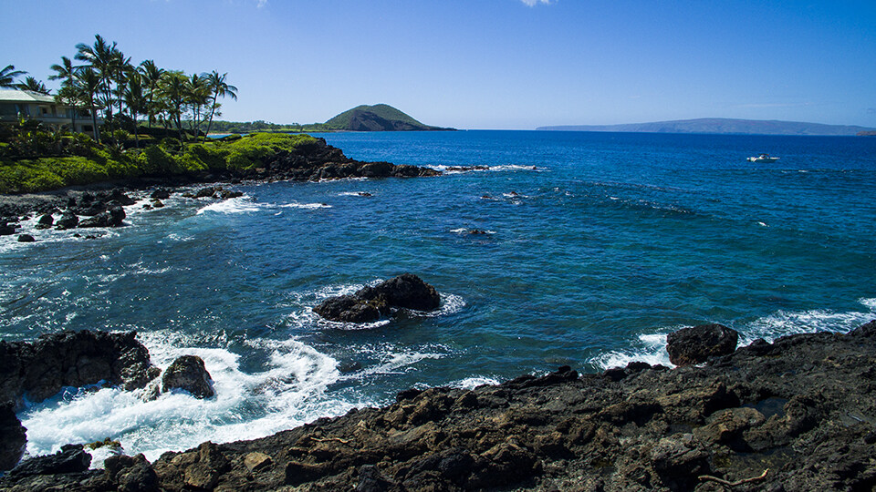 Maui's Turtle Town