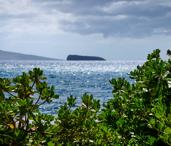 What Does Molokini Mean in Hawaiian