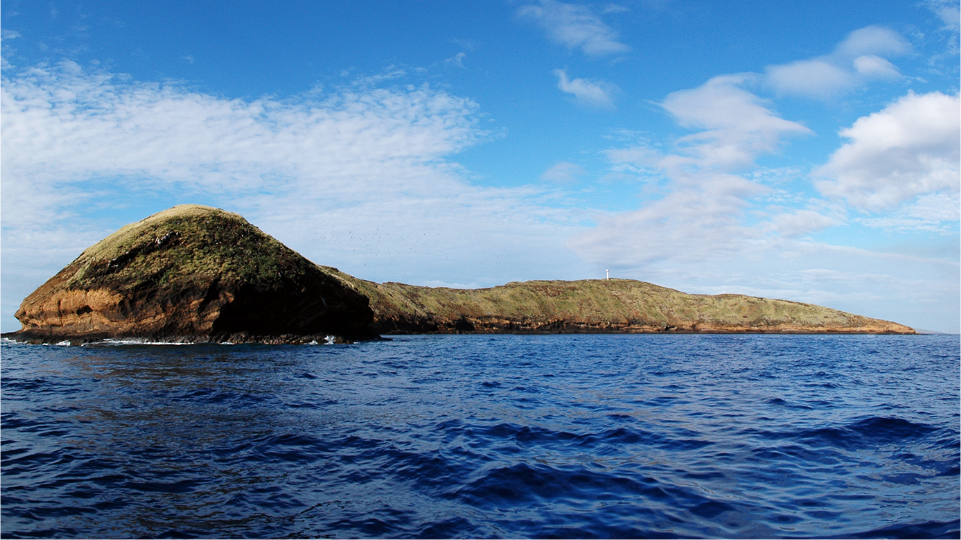 Modern Molokini