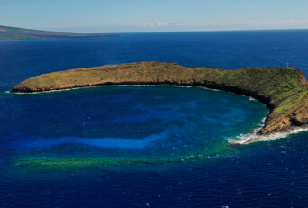 What Happened to Molokini