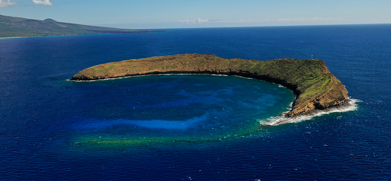 What Happened to Molokini