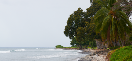 Top 10 Activities in Maalaea and Olowalu
