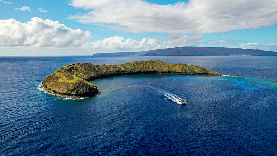 Top 10 Activities Maalaea Olowalu Pride of Maui Boat Tour