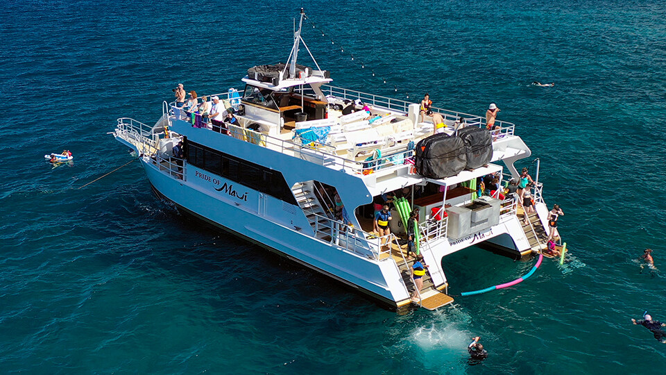 Top 10 Activities Maalaea Olowalu Pride of Maui Boat Tour