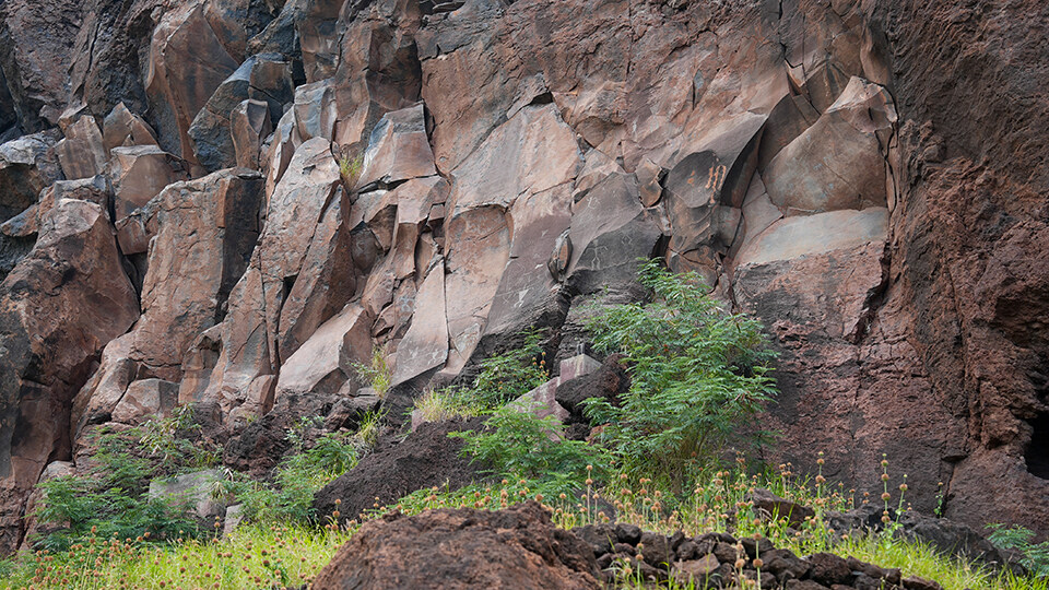 Top 10 Activities in Maalaea Olowalu Cultural Reserve Kipuka Olowalu