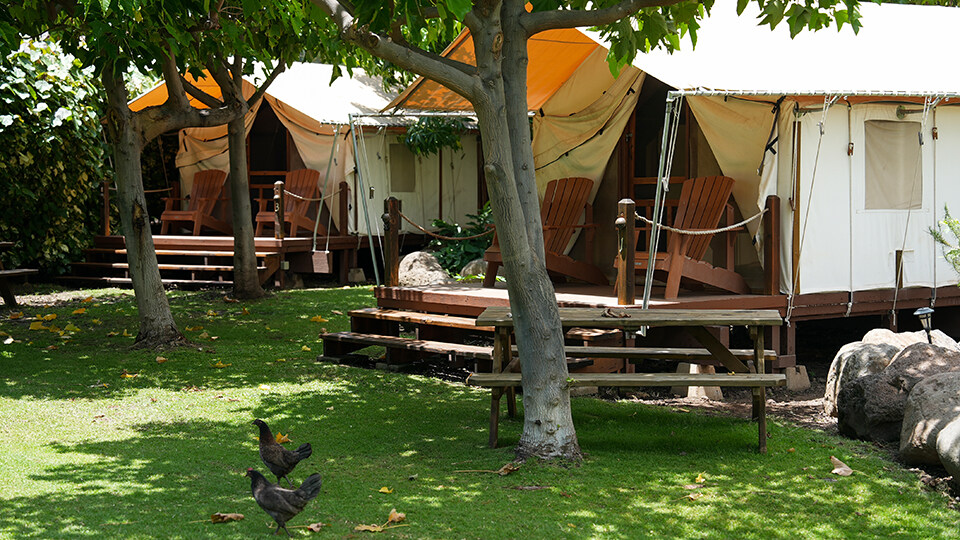 Top 10 Activities in Maalaea Olowalu Camp Olowalu