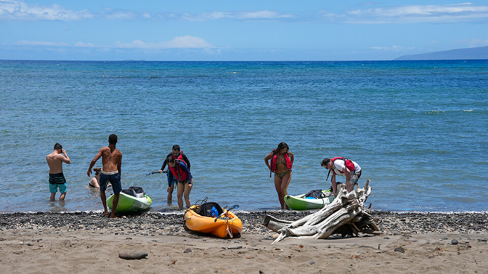 Top 10 Activities in Maalaea Olowalu Camp Olowalu