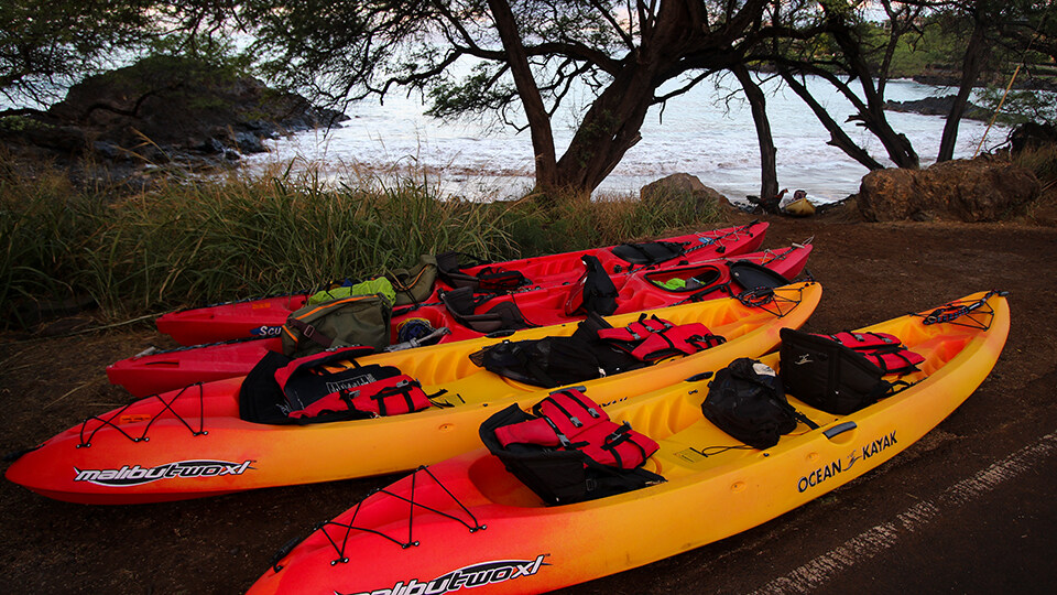 Top 10 Activities Maalaea Olowalu Kayaking