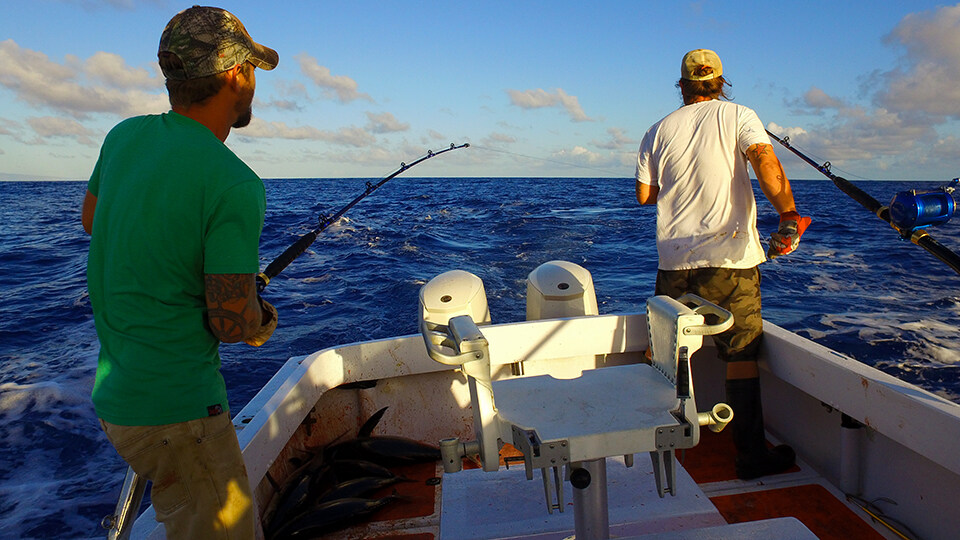 Top 10 Activities Maalaea Olowalu Sport Fishing