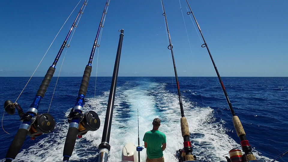 Top 10 Activities Maalaea Olowalu Sport Fishing