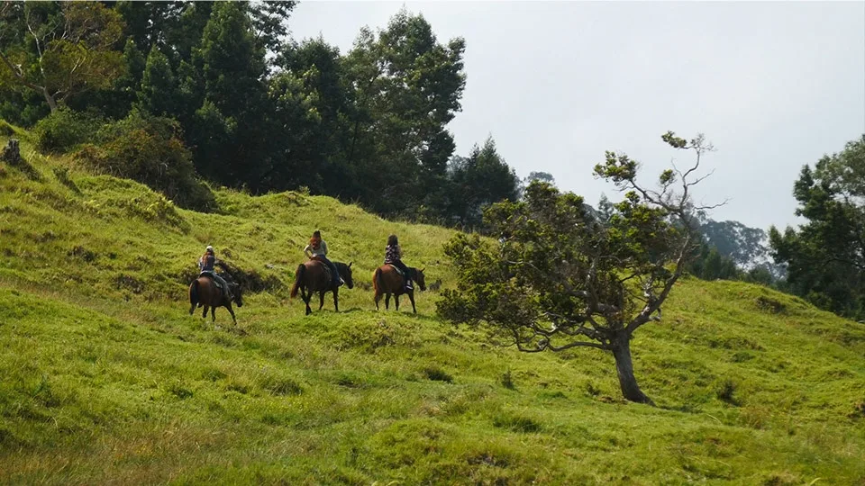 Horseback Riding Tour Maui