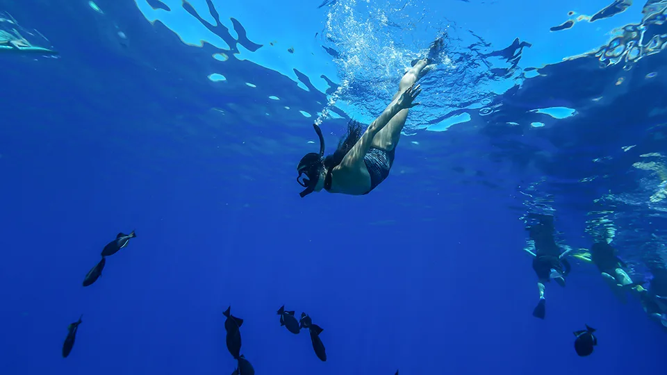 Diving and Looking at Fish on Best Maui Snorkeling Tour