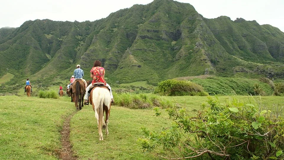 Maui Vacation Guide For Horseback Rides Maui