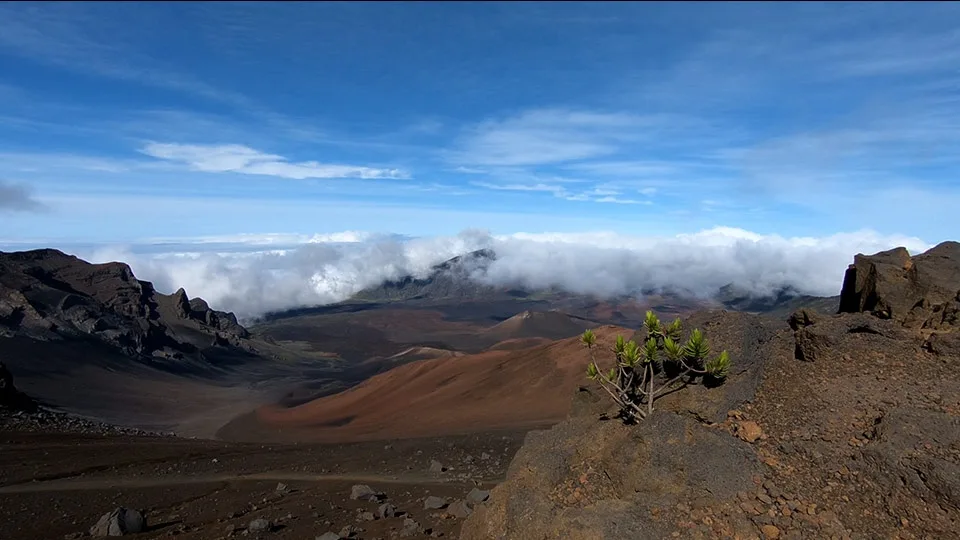 Hiking Maui Trails