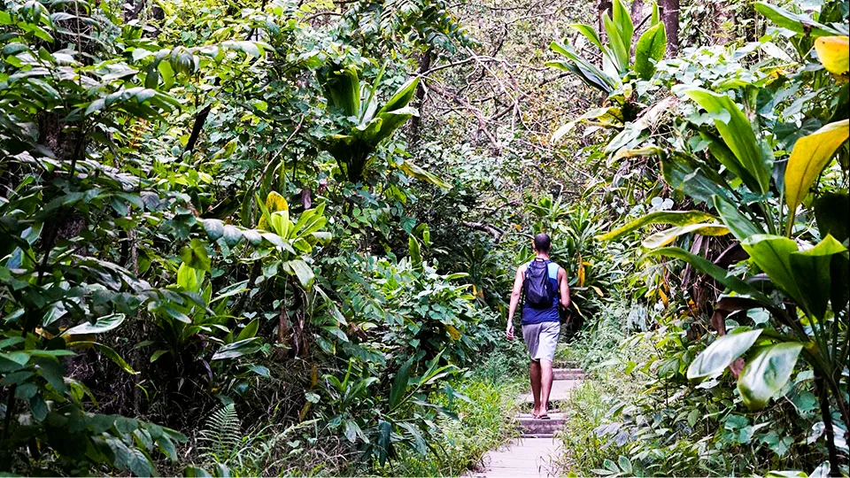 Hiking Maui Trails