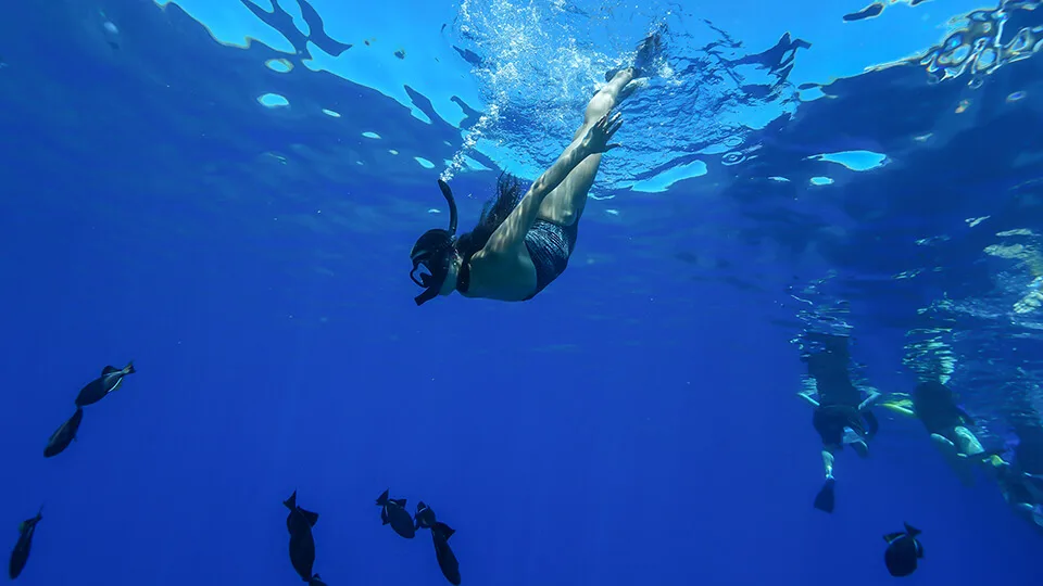 Woman Diving While Snorkeling on a Molokini Snorkel Tour