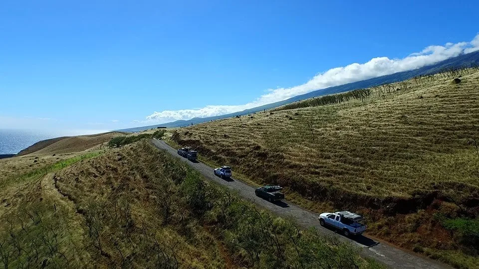 Cars Riding Down Hana Highway on Maui