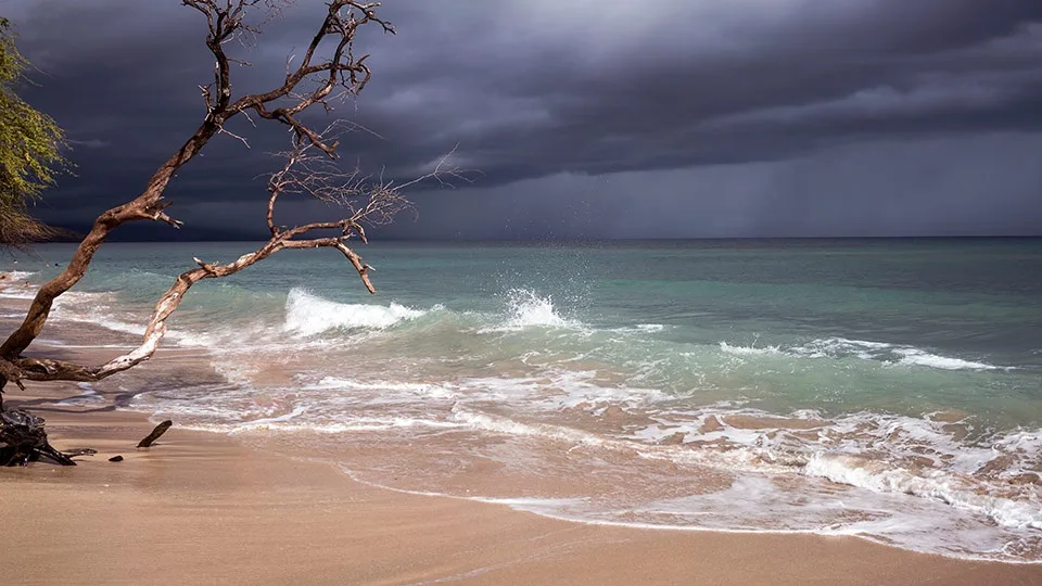 Maui Travel Tips Beach Safety