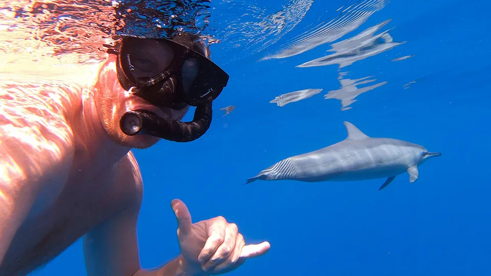 Snorkeler with Hawaiian Spinner Dolphin