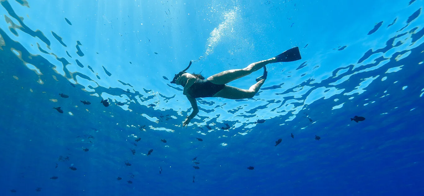 Guest Diving Underwater on Maui Snorkel Tour