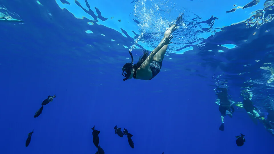 Guest Diving Underwater to See Fish on a Maui Snorkeling Tour