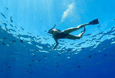 Guest Diving Underwater on Maui Snorkel Tour