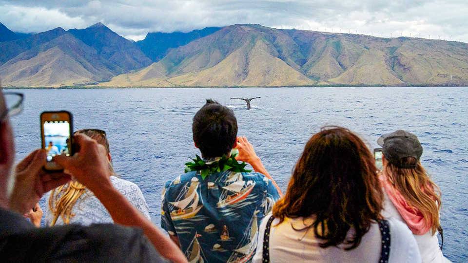 Guests Taking Photos on Maui Whale Watching Tour