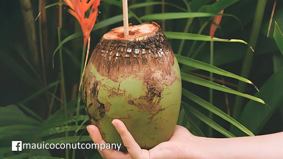 Best Maui Organic Maui Coconut Company