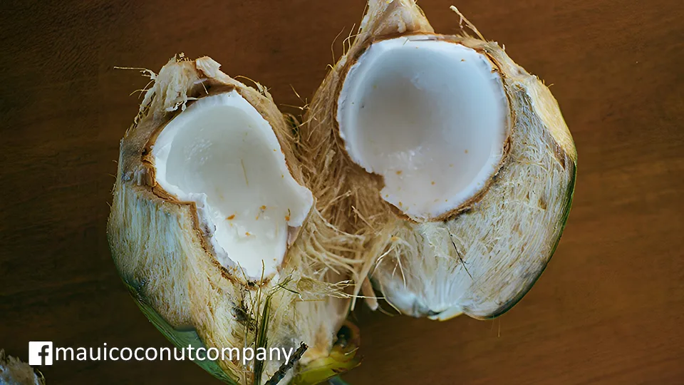 Best Maui Organic Maui Coconut Company