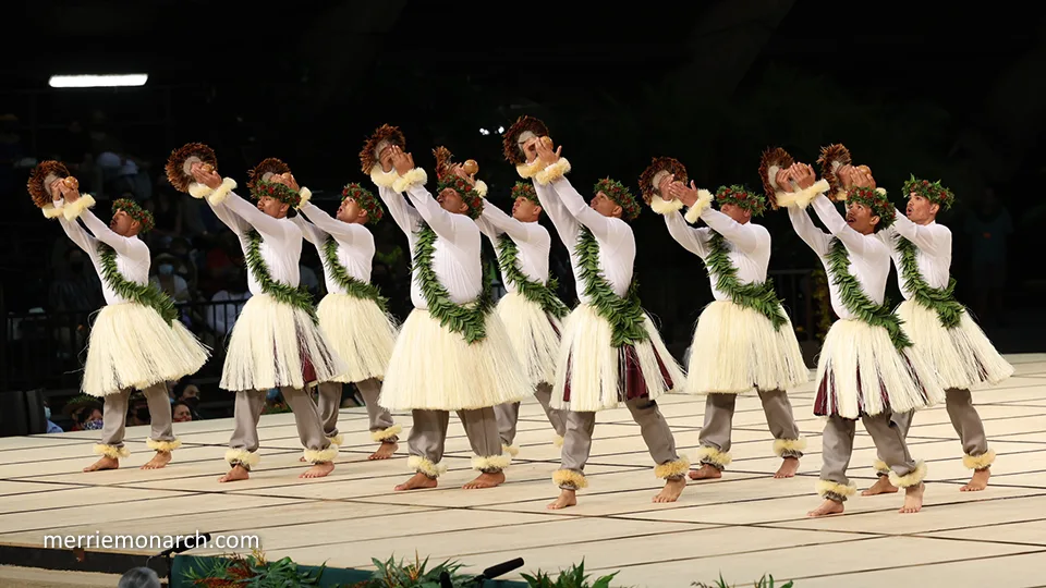 Hawaii Hula Show