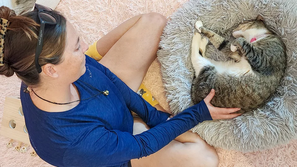 Spotlight on Cat Café Maui
